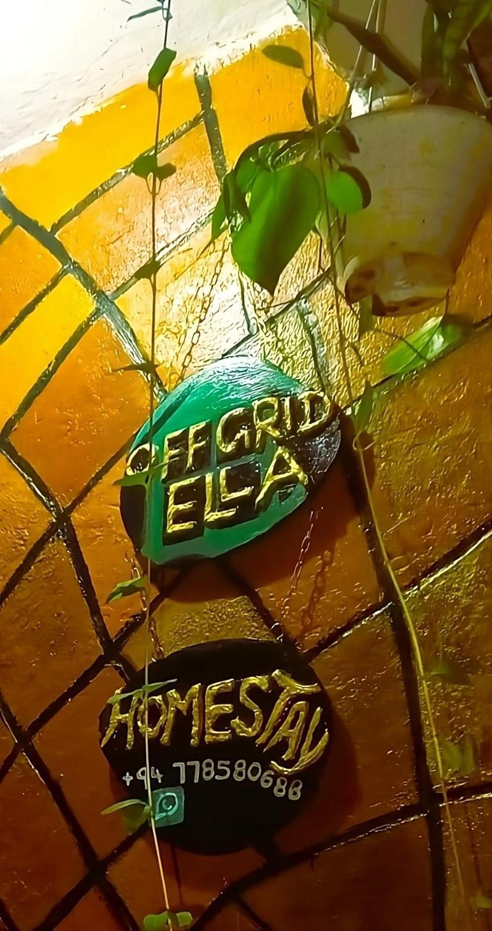 Off Grid Проживання в сім'ї Елла